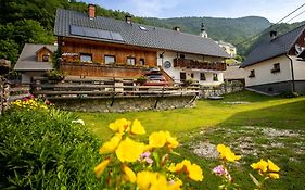 Apartments Kocjanc