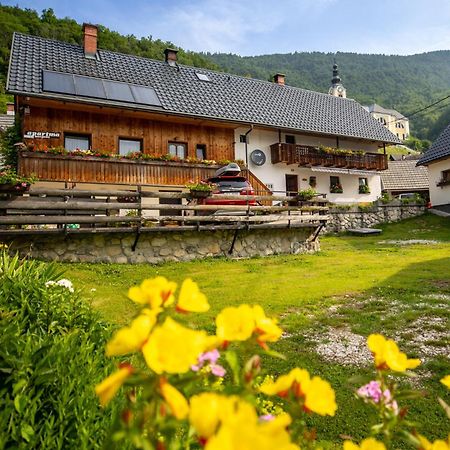 Apartments Kocjanc Bohinji-tó Kültér fotó